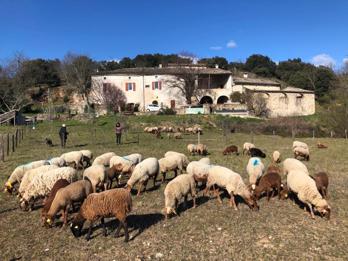 Gites La Ferme Accrochee A La Colline Lagorce  Exterior foto